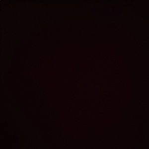 Meet your Posher, Shoe